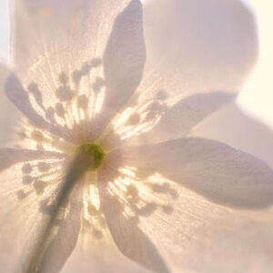 Meet your Posher, Dani